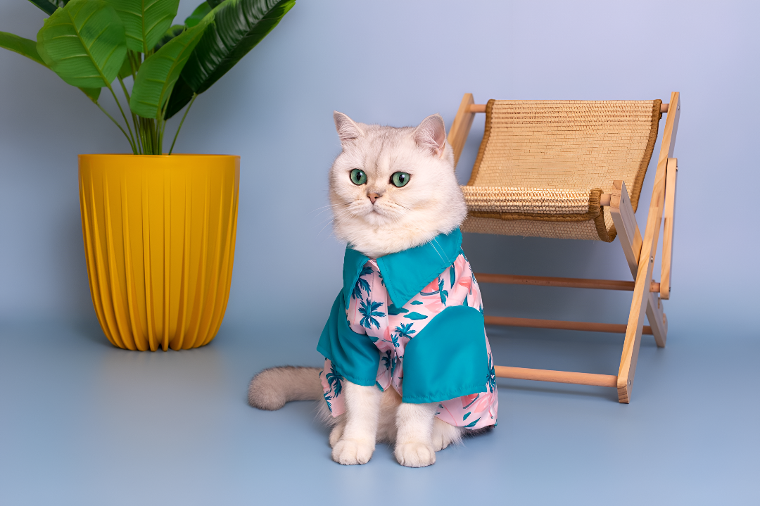 Stylish Clothing for Every Pet